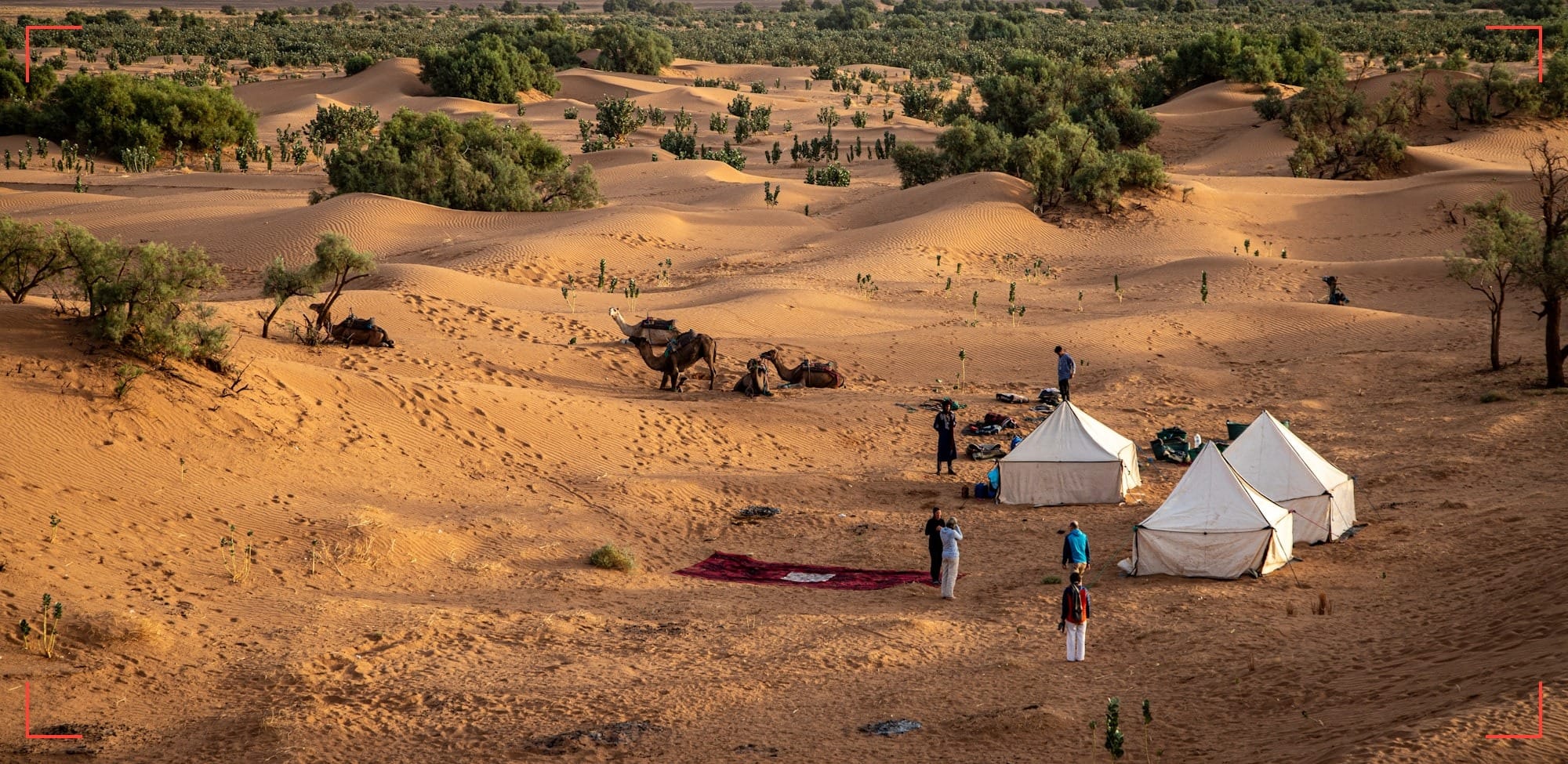 Boko Haram’s Return: A New Test for Nigeria’s Security and Stability SpecialREPORT JUN 2025